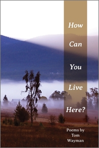 How Can You Live Here – cover
